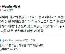 아무래도 진짜 잣된것 같은데 다들 모른척하는 것.jpg