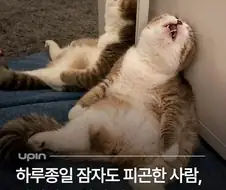 하루종일 자도 피곤한 이유