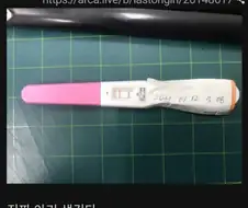 망가 따라서 교배프레스 한 후기