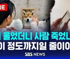 반려동물 안키우는 이유중 비중 큰 사유.jpg
