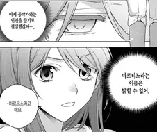 집안과 연을 끊겠다는 귀족영애
