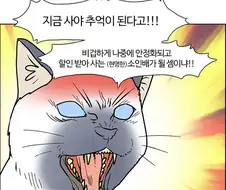 붉은사막)고양이놈 말이 맞았네
