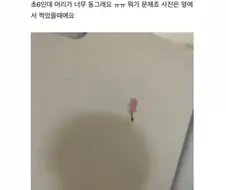 머리가 너무 동그래서 고민인 초등학생