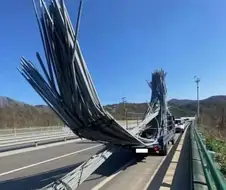 한국 도로 과적 적발 사례.jpg