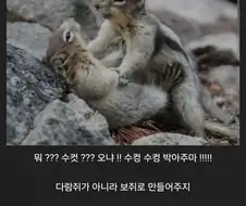 나 수컷이라고 멈춰!!!