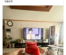 "여름방학의 극치"