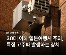 일본의 MZ 디스트로이어