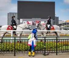 [말딸] 커여운 터보 코스프레