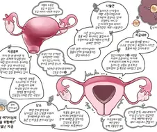 ㅎㅂ?)3N살 노처녀 기사님의 자궁