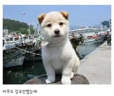 주식)한 시간 만에 태도를 바꿈