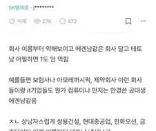 에겐 같은 회사이름이 싫다는 블라녀.jpg
