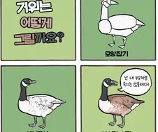 거위를 그리는 법