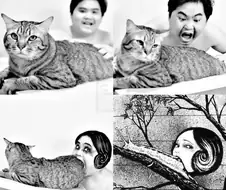 이토 준지 저가 코스프레