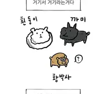 [조석인스타툰] 그개 만화