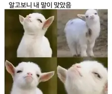 홍명보감독 체코전 이겼을때 표정 특징