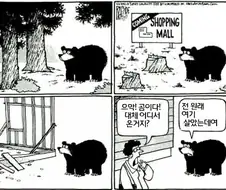 충격적인 미국에서 곰이 마을에 내려오는 이유. manga
