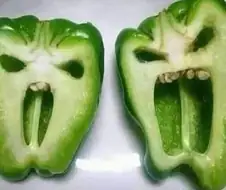 부엌에서 악마를 보았다