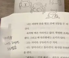헤일메리 짤보는데