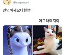 안녕하세요 다현 언니