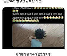 일본어 몰라도 알거같음