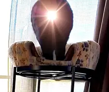 티파: 당신에게... 힘을....!