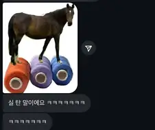 싫어요 ㅠㅠㅠ 싫단 말이에요 ㅠㅠㅠㅠㅠㅠㅠ