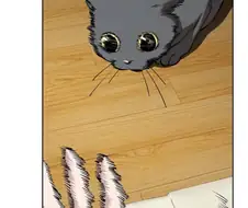 고양이 귀엽다고 손으로 놀아주면 안되는 이유