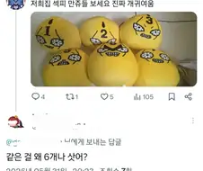 죠죠러 : ㅂㄷㅂㄷ