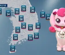 날씨 볼랬더만 이것이 뭐시여