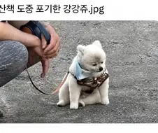 쭈인아 지친다
