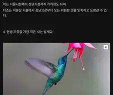 새(bird)에 대한 재미있는 사실들.
