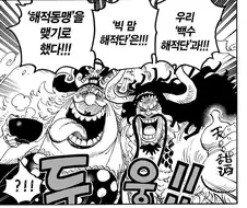 원피스)빅맘과 카이도의 재밌는 차이점