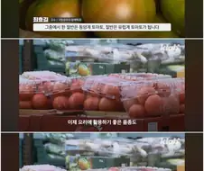 토마토가 한식에 안 어울리는 이유.jpg
