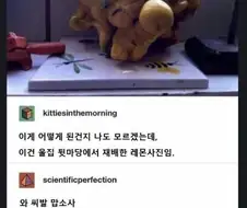 뒤틀린 황천의 레몬.jpg