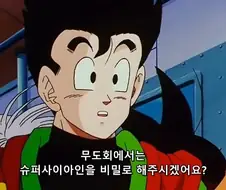 드래곤볼) 오반: 무도회에서 초사이어인 금지하죠