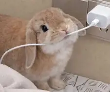 어이 주인 이걸봐라