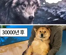 3만년 선택으로 인한 결과.jpg