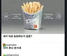 감자튀김 뺏어가는 갈매기때문에 취한 특단의 조치