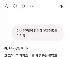 하이닉스에 물리고 제미나이와 상담한 주주 ㅋㅋㄴ