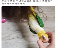 ??? : 감히 맥도날드를 갔다 이거지?