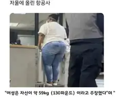 고객이 주장한 말을 못 믿은 항공사