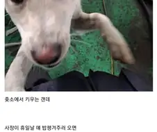 휴일에 출근하라는 ↗소