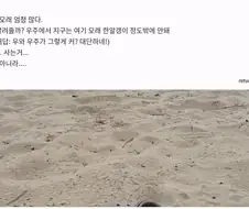 우주에서 지구는 여기 모래 한 알정도 밖에 안돼