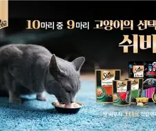 이런쉬바 당연하죠!!
