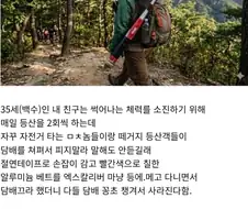 담배피는 등산객 처리법