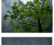 중국 산속의 동굴.jpg