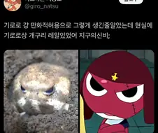 만화적 허용이 아니라 의외로 현실 고증이었던 기로로.jpg