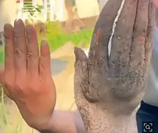 약혐)농부가 밭에서 발견한 부패한 사람 손