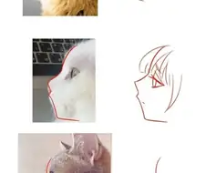 2d 그림체의의 비밀