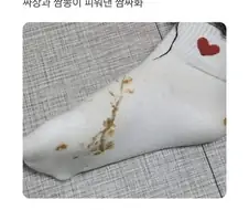 짜장 짬뽕화